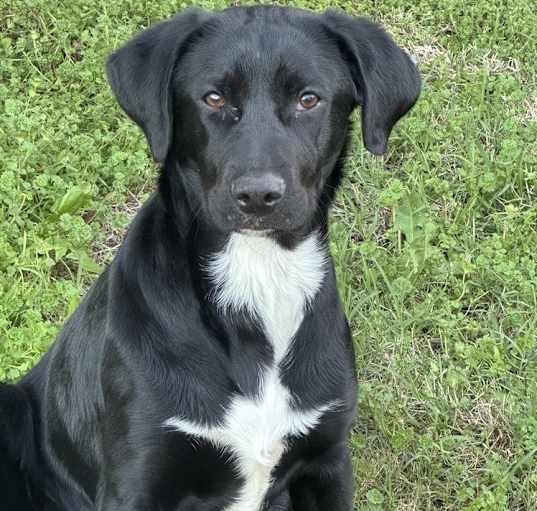 Photo of Daisey