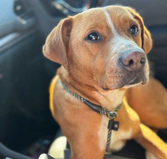 Photo of Ellie Mae