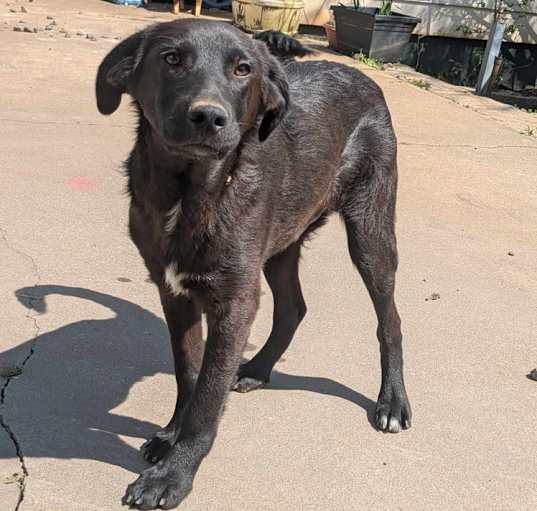 Photo of Jet