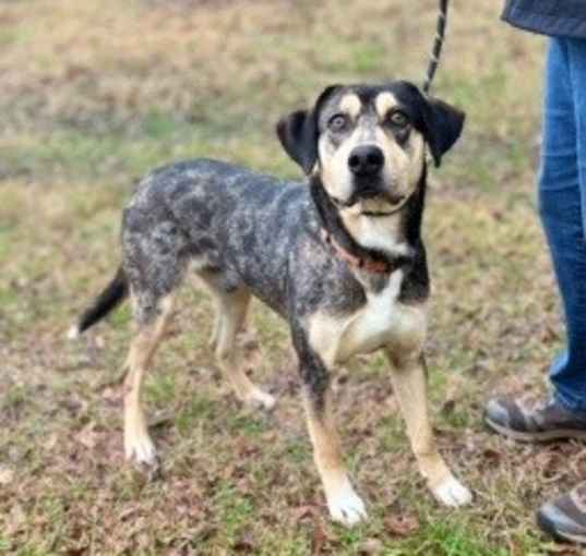 Photo of Maverick