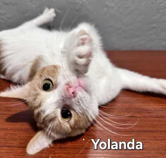 Photo of Yolanda