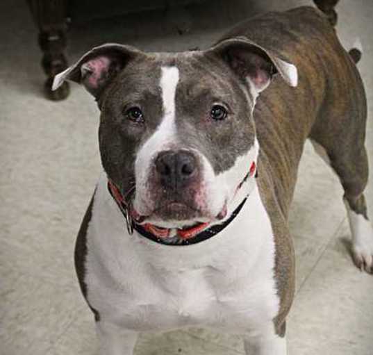Photo of Valerie