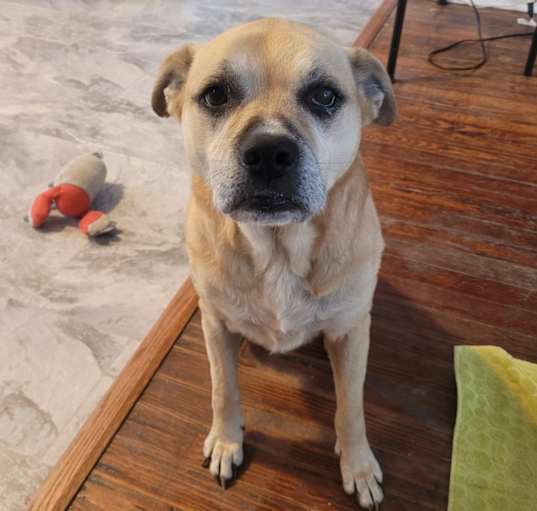 Photo of Sammie