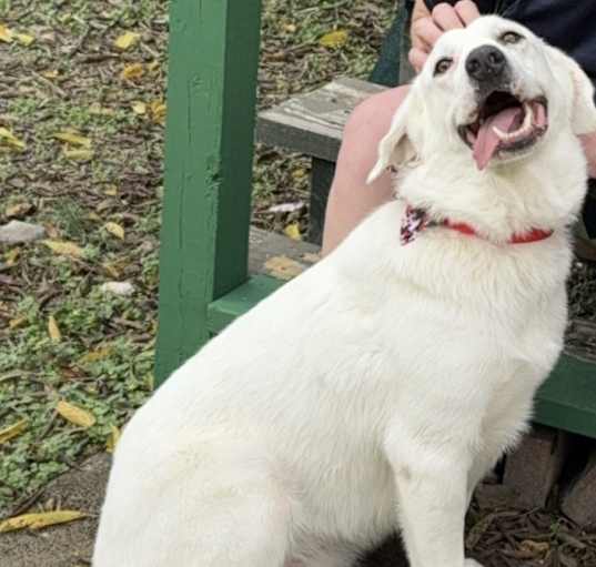 Photo of Ruby