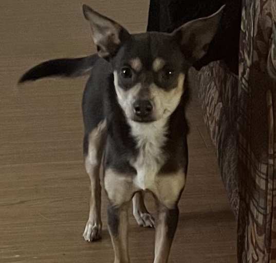 Photo of Mavis