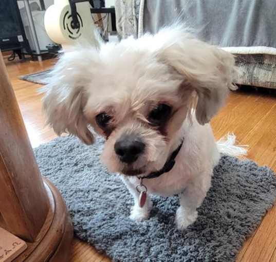 Photo of APOLLO