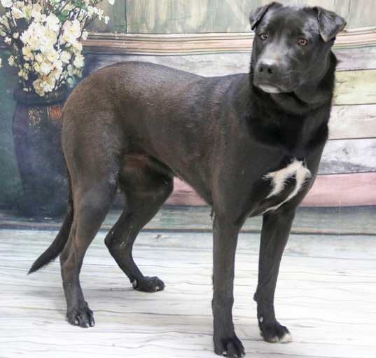 Photo of Kramer