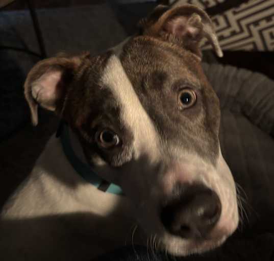 Photo of Danni