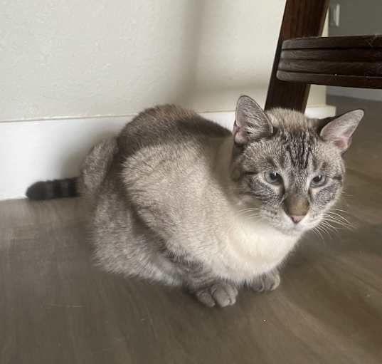 Photo of Happy