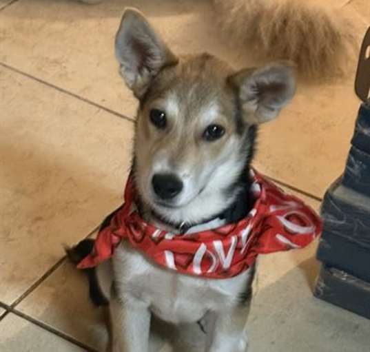 Photo of MAX