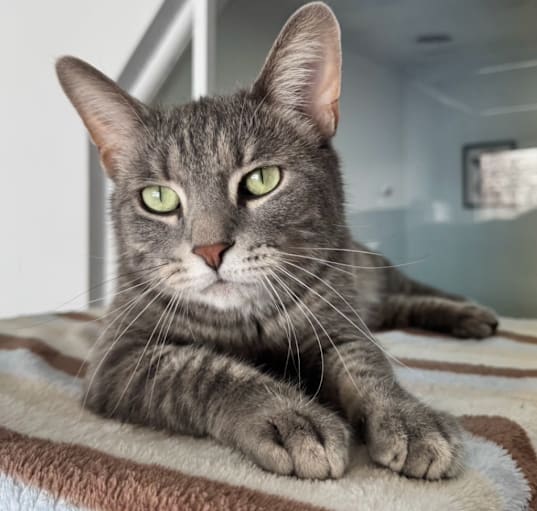 Photo of Charlie