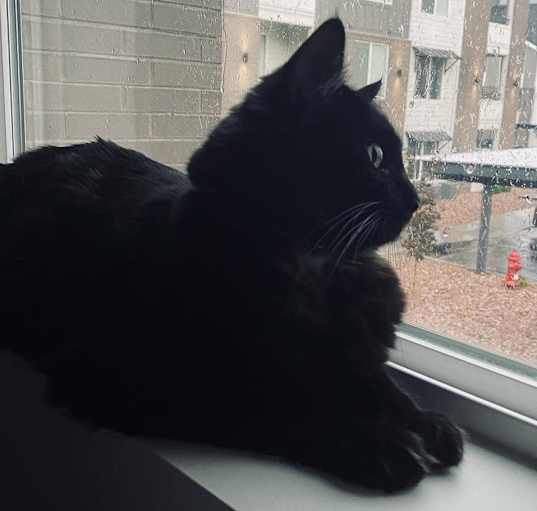 Photo of Tsuki