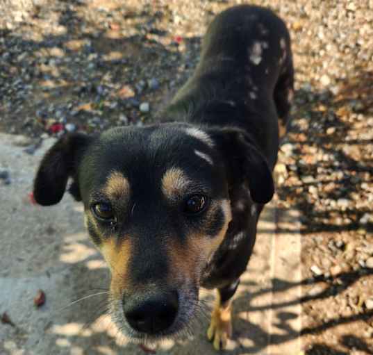 Photo of Myla