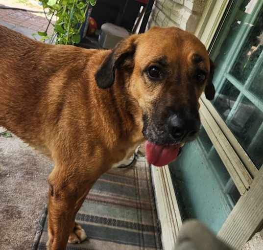 Photo of Duke