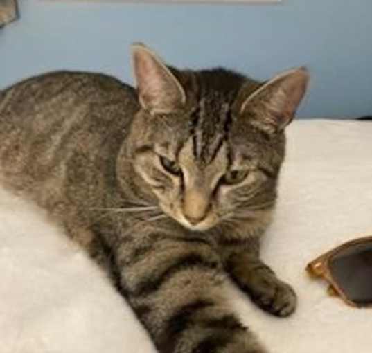 Photo of Hazel