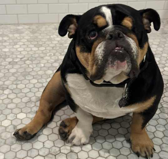 Photo of Deebs