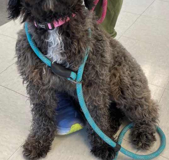 Photo of Betty