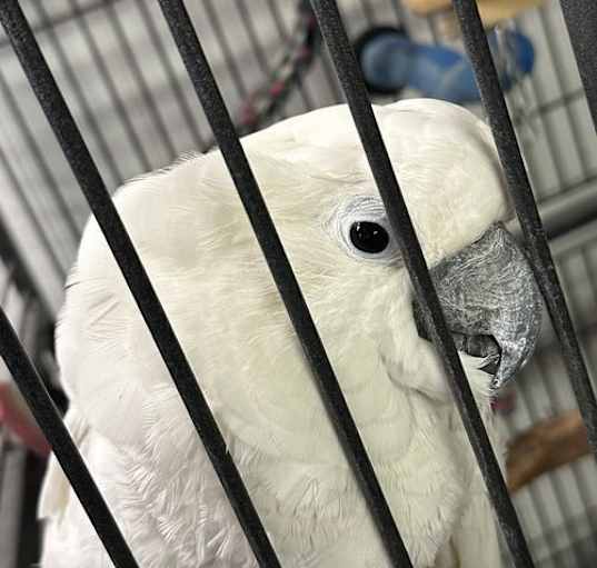 Photo of Casper