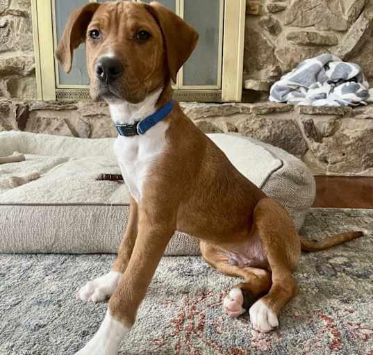 Photo of REGGIE