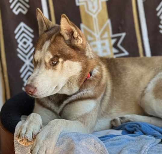 Photo of Kylo