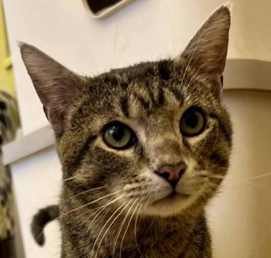 Photo of Zizzou