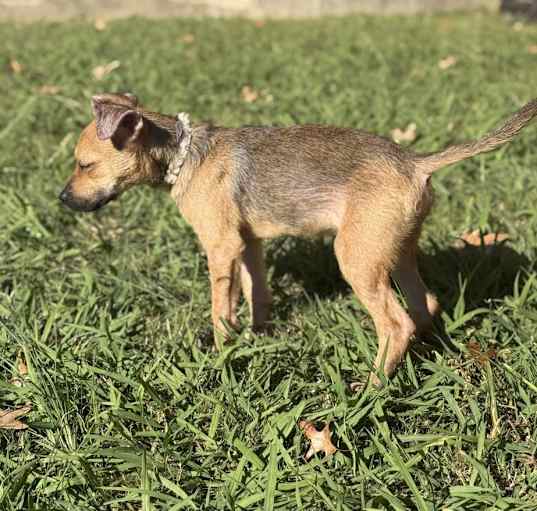 Photo of Zora