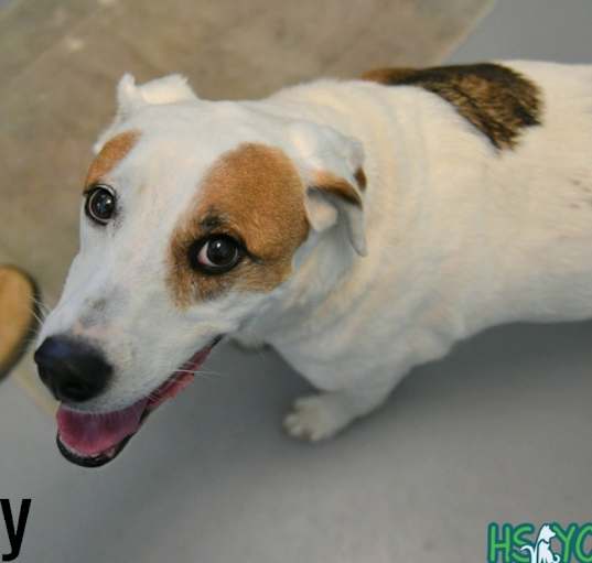 Photo of Holly