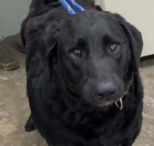 Photo of Bucky