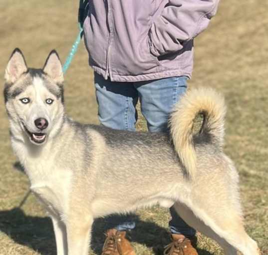 Photo of Spike