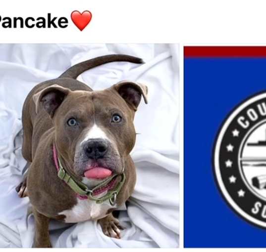 Photo of PANCAKE