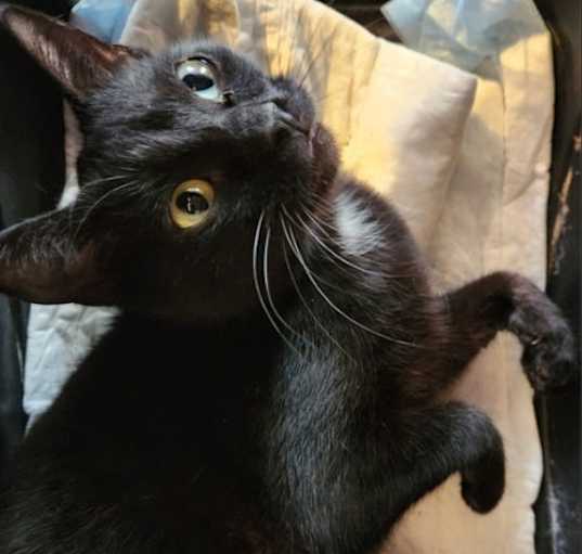 Photo of Mattina
