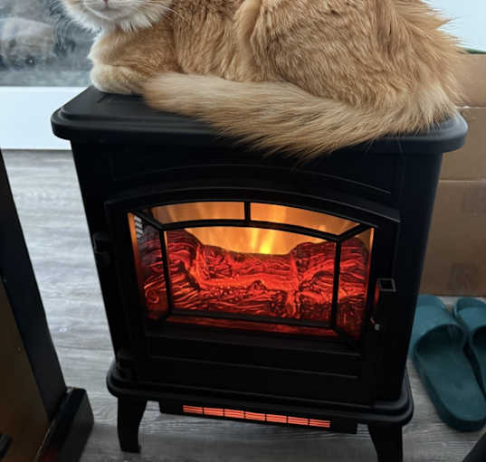 Photo of Hank