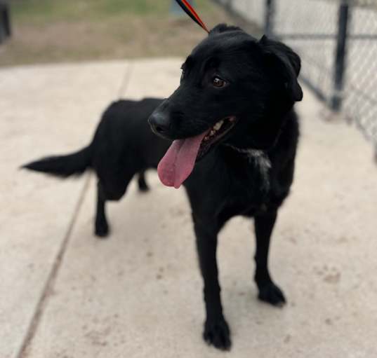 Photo of Dora