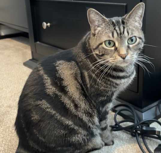 Photo of Lucy