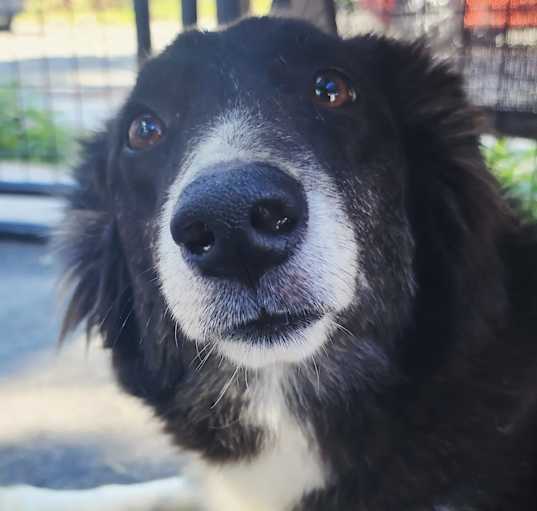 Photo of Berry