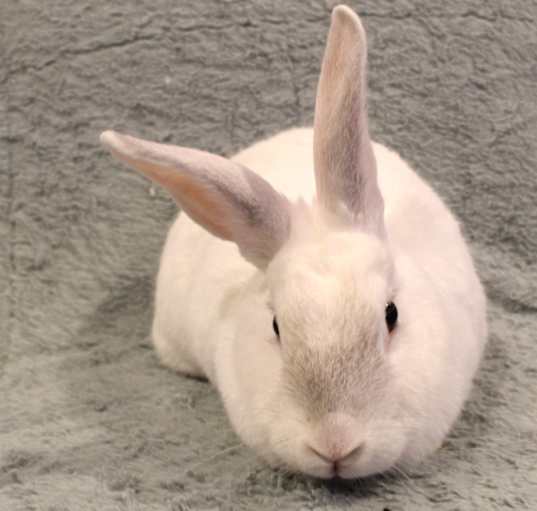 Photo of Zoom