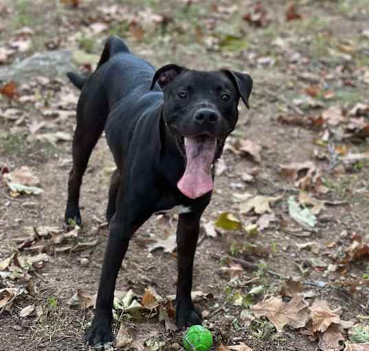 Photo of Jack