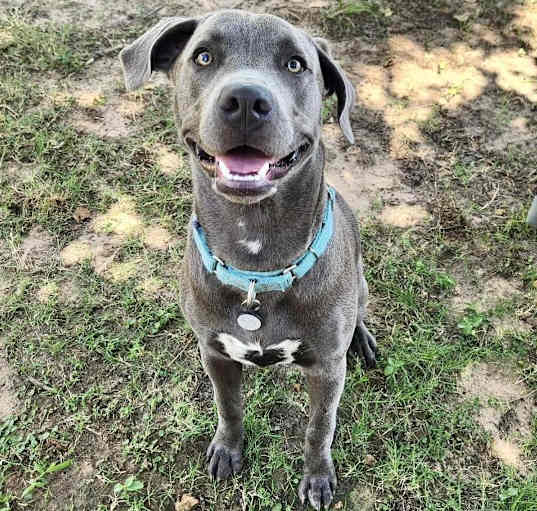 Photo of Jax