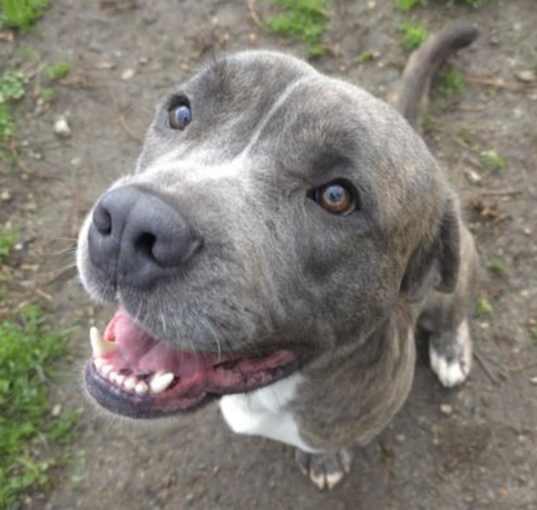 Photo of Fonzie