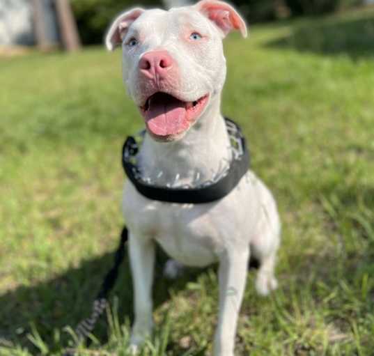 Photo of Kai