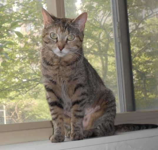 Photo of Ivy