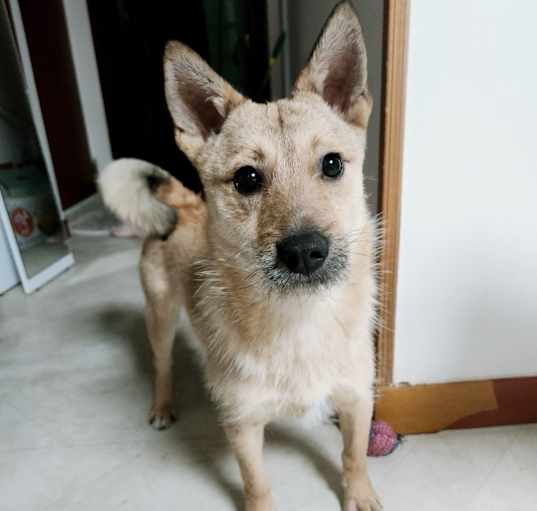 Photo of Hyunmi