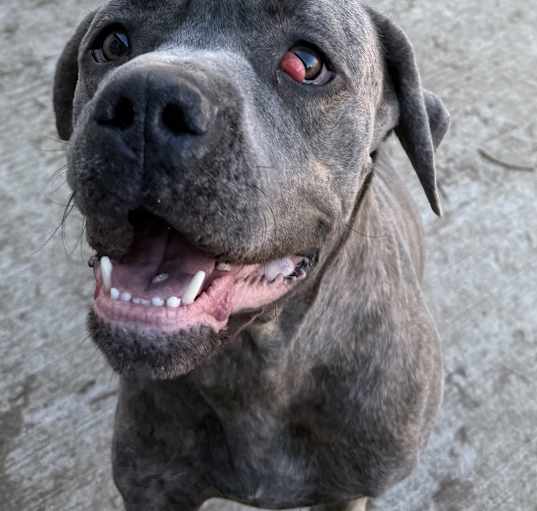 Photo of Zeus