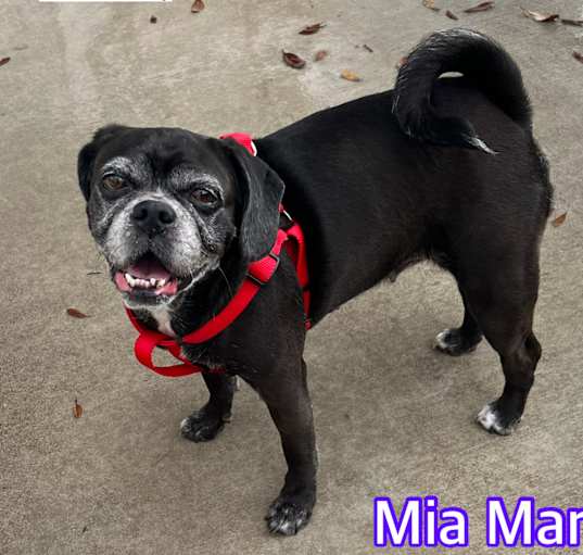 Photo of Mia Mari