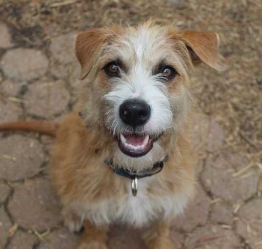 Photo of Reggie