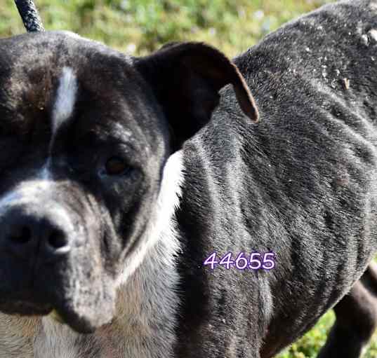 Photo of Tank