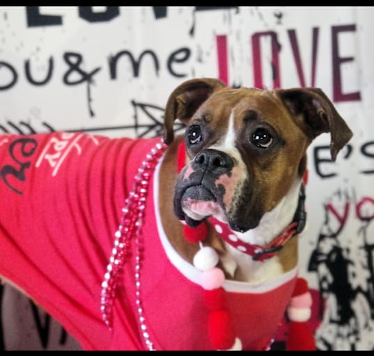 Photo of LAYLA