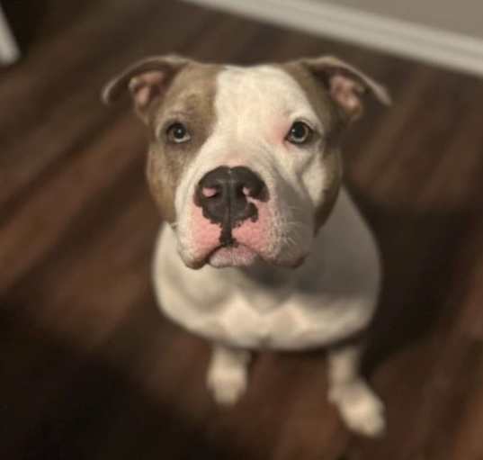 Photo of Lilith