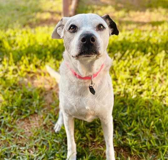 Photo of My Girl Cherie