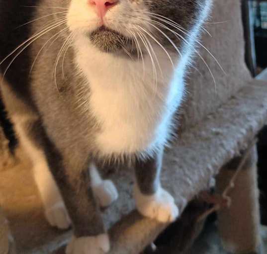 Photo of Jeremy